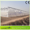 Serre arche plastique Leon haute tunel pour tomate